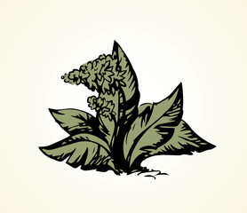 Tropical flower. Bush. Vector drawing