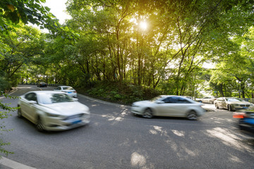Fototapeta premium Cars pass through the forest from asphalt road