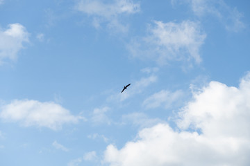 本栖湖 山梨県 201906