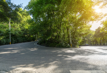 Cars pass through the forest from asphalt road