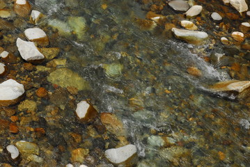 底が見える澄んだ川