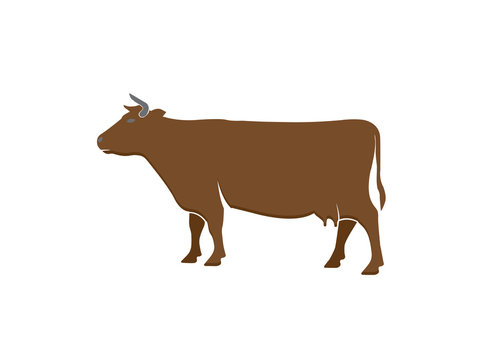 cow dairy for logo design illustration vector