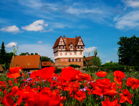 Blickfeld f&uuml;r Ewigkeit 