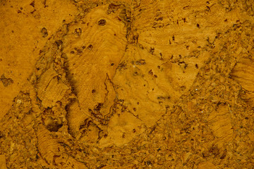 A background with a brown colored wood texture