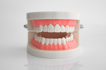 Artificial dental model