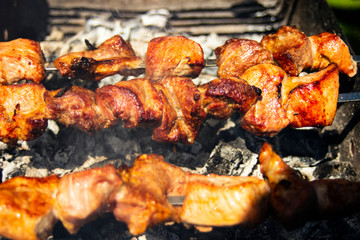 Shashlik of  mutton, beef or chicken meat on barbeque outdoor
