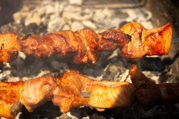Shashlik of  mutton, beef or chicken meat on barbeque outdoor