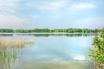 Beautiful view of the lake, sky, trees and water grass. Spring, Mazury, Poland.