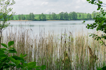 Beautiful view of the lake, sky, trees and water grass. Spring, Mazury, Poland.