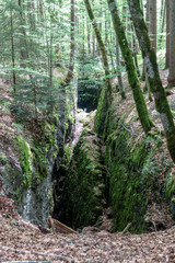 Bürser Schlucht, Vorarlberg, Austria - the most beautiful landscapes in the Alps with an almost primeval forest-like tree population and wild river runs.