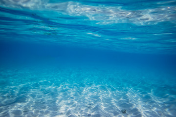 under sea background in the Maldives