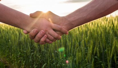 Handshake two farmer on the background of a wheat field with sun glare