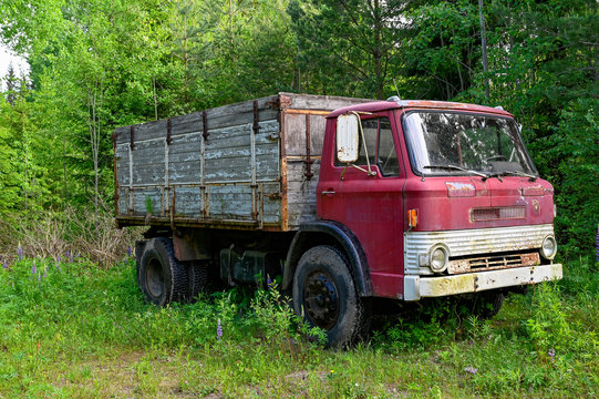 old red truck standing in a forest