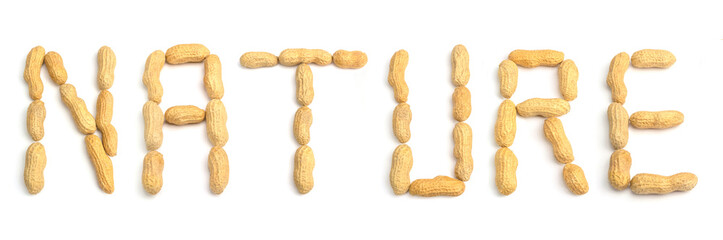 The Word Nature made of Peanuts for creative Food Concepts.  Peanuts isolated on white Background. Natural Protein from Peanuts. Healthy Food. - 272454756