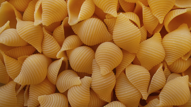 Food background with dry conchiglie rigate pasta, made of plain durum wheat, a popular Italian seashell or shell pasta with the concave shape and external ridges  that allows sauces to adhere to them