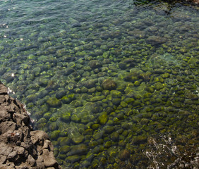 Stones and crystal clear water.