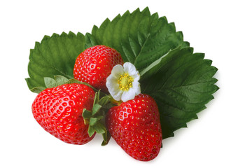 Beautiful and delicate strawberry with flower and green leaves closeup. Macro image of fresh strawberry with white flower on white background