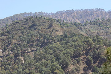 Beautiful Himalaya India 