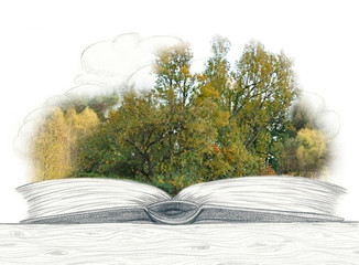 pencil sketch_photography_book_green wood_clouds_white__by jziprian