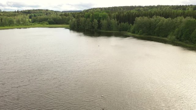 Reverse drone footage showing two female swimming in a small dark lake on a windy summer day in Sweden. Filmed in realtime at 4k.