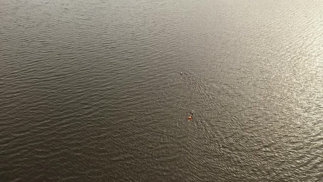 Drone footage following two female swimming in a small dark lake on a windy summer day in Sweden. Filmed in realtime at 4k.