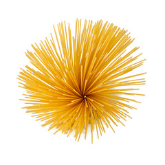 spaghetti italian pasta isolated 