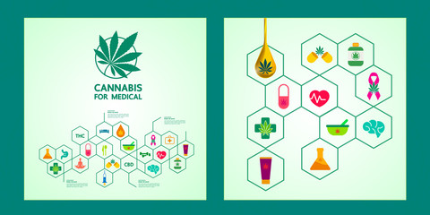 Fototapeta na wymiar Cannabis for medical vector illustration.