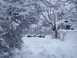 Snowy road in the village. Photo snow-covered