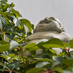 Laughing Buddha
