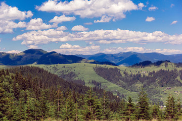 Obraz premium landscape of a Carpathians mountains with fir-trees and sky