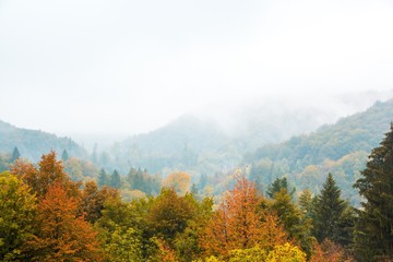 Plitvice lakes national Park, Croatia. Autumn landscape. Golden trees, fog, mountains and waterfall.
