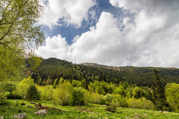 Mountain landscape in the valley of the river Arkhyz