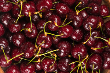 dark red ripe sweet cherry close up