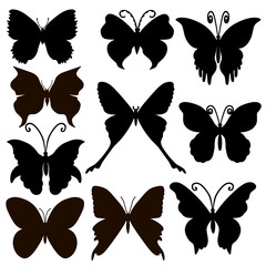 Set of hand drawn butterflies. Silhouette. Vector illustration. EPS 10
