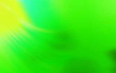 Light Green vector modern elegant layout.