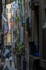 Fototapeta na wymiar in the streets of Barcelona
