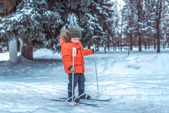 Little boy is 3-4 years old, winter on children's skis, first steps skis, active image of children. Background snow drifts trees. Free space. The idea of happy childhood in the fresh air in nature.