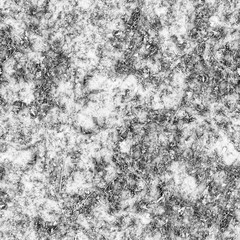 Bacteria and various microorganisms under strong microscope magnification