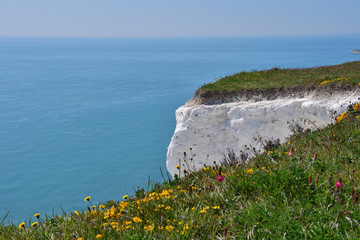 White Cliffs of Dover