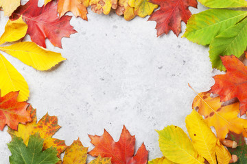 Naklejka na ściany i meble Autumn backdrop with colorful leaves