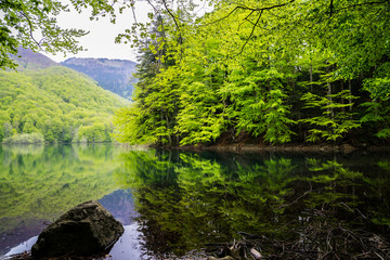 Fototapeta na wymiar Montenegro, Perfect relaxation place at lake biogradsko in green nature forest landscape reflecting in biogradska gora national park