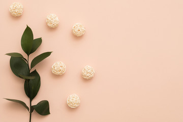 Floral decor setting. Flat lay of green sprig and beige rattan balls arranged on peach background. Copy space.