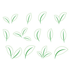Set of green leaves design elements. Green sprout green leaves symbol icon set.
