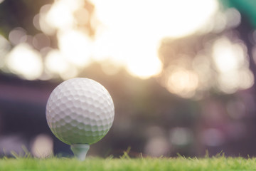 Golf ball on green grass ready to play at golf course. with copy space