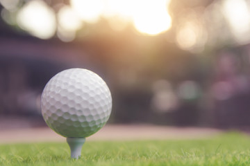 Golf ball on green grass ready to play at golf course. with copy space