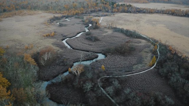 戦場ヶ原 湿原 草原 自然 風景 秋の日光 紅葉 動画 4K 動画 空撮 ドローン撮影 