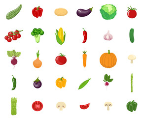 Set of vegetables isolated on white background. Vegetarian organic healthy food. Vector illustration for design.