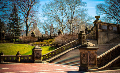 Fototapeta premium bridge in central park