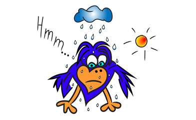 like a wet bird, the rain falls on the bird, the fox bird, the bad luck, the sun and the clouds,