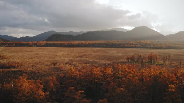 美しい秋の風景　道 ドローン 空撮 日光 戦場ヶ原 紅葉 4k 動画